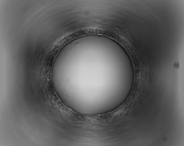 X0000115640870200911241708