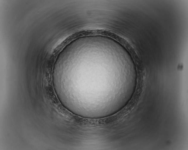 X0000115640871200911241708