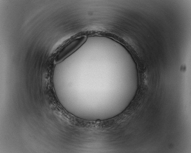 X0000115640872200911241708