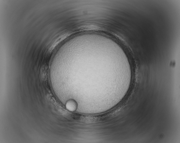 X0000115640873200911241708