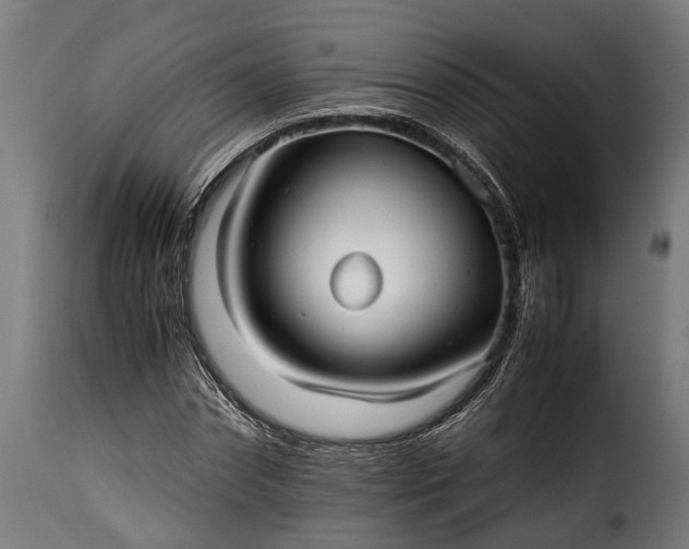 X0000115640874200911241708