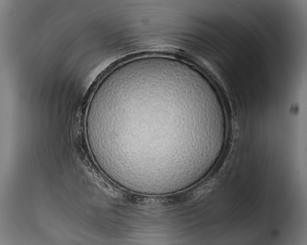 X0000115640875200911241708