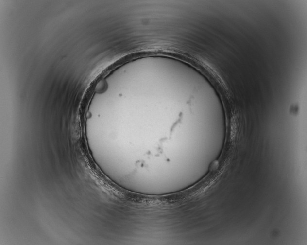 X0000115640876200911241708