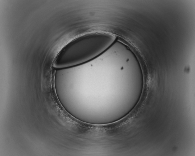 X0000115640877200911241708