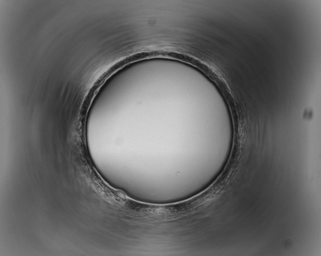 X0000115640879200911241708