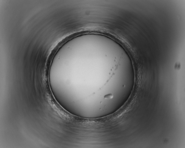 X0000115640880200911241708