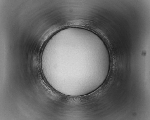 X0000115640882200911241708