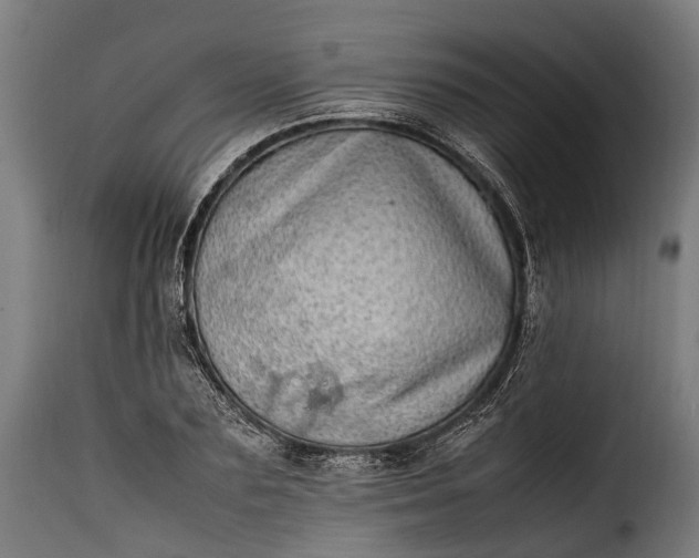 X0000115640883200911241708