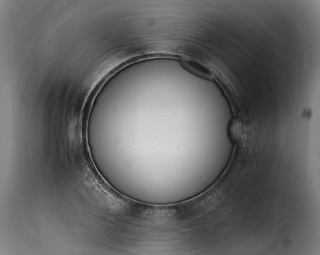 X0000115640884200911241708