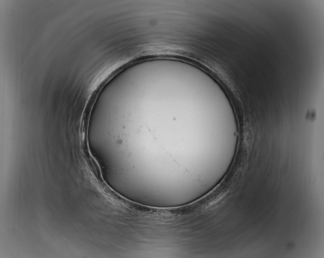 X0000115640885200911241708