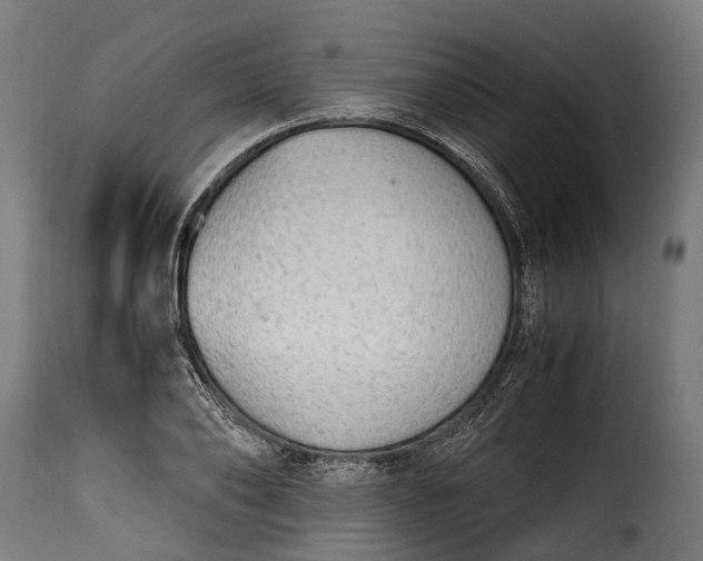 X0000115640886200911241708