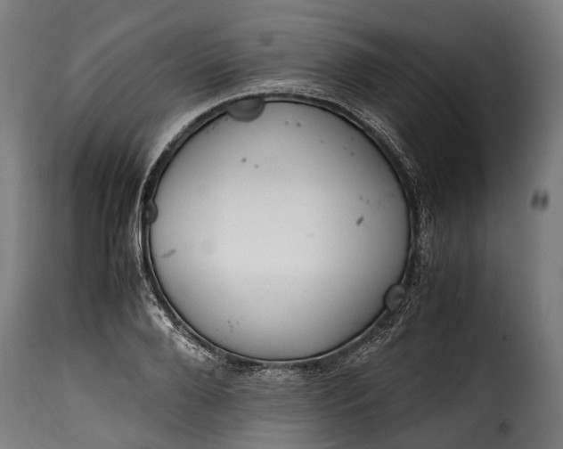 X0000115640888200911241708