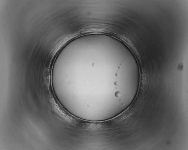 X0000115640890200911241708