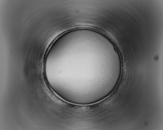 X0000115640891200911241708