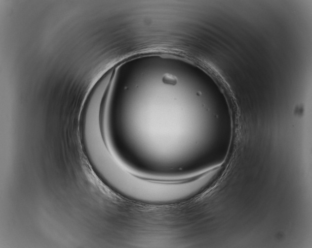 X0000115640892200911241708