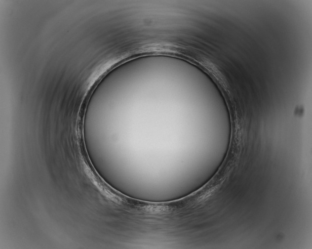 X0000115640893200911241708