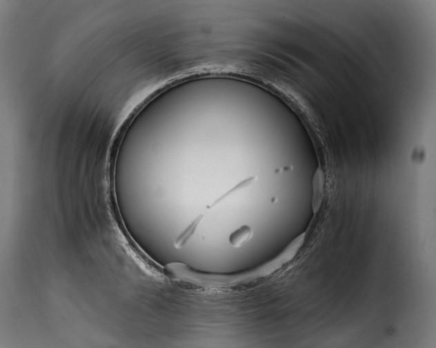 X0000115640894200911241708