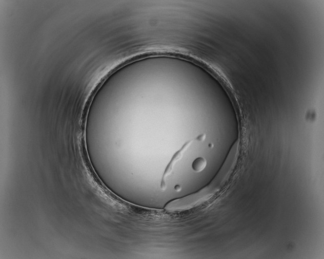 X0000115640895200911241708