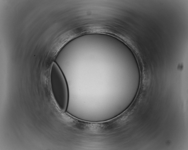 X0000115640897200911241708