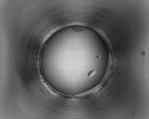 X0000115640898200911241708