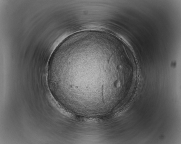 X0000115640899200911241708