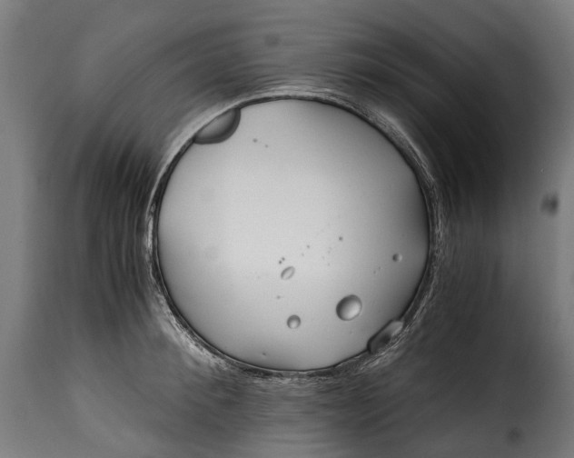 X0000115640900200911241708