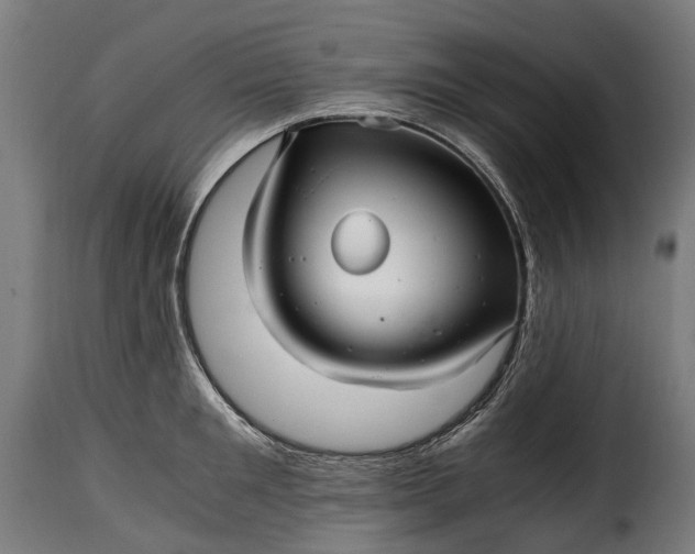 X0000115640901200911241708