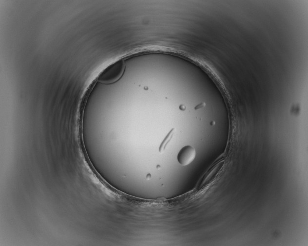 X0000115640902200911241708