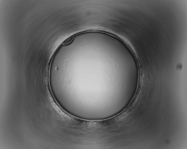 X0000115640903200911241708