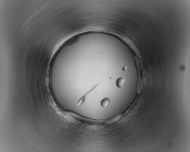 X0000115640904200911241708