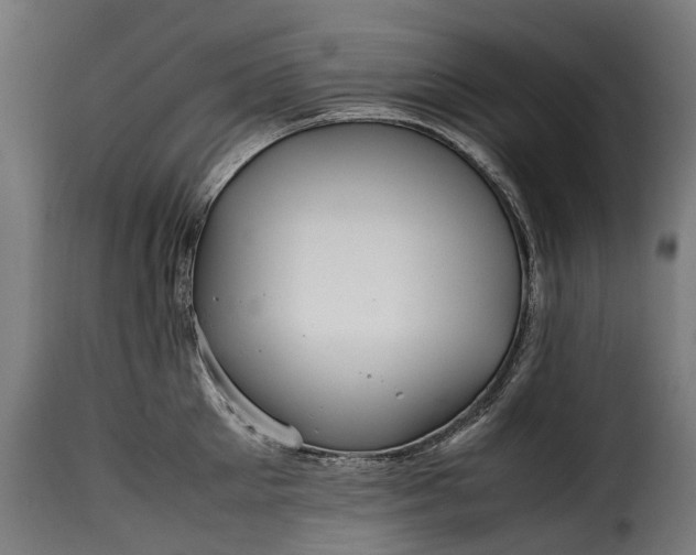 X0000115640905200911241708