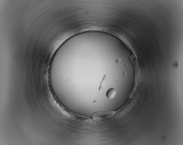 X0000115640906200911241708