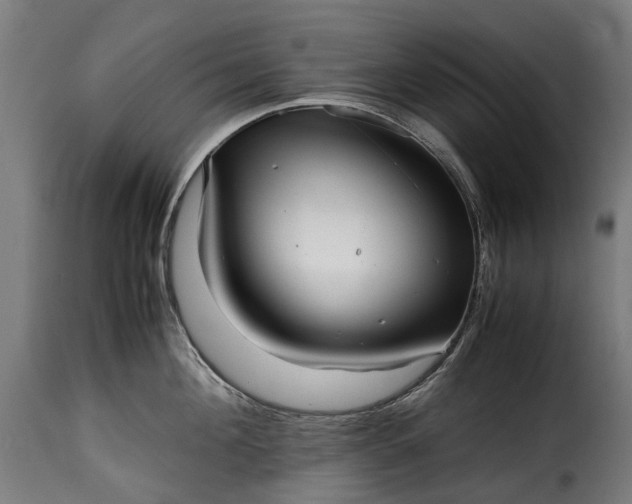 X0000115640908200911241708