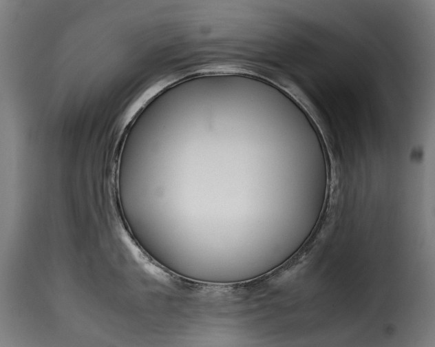 X0000115640909200911241708