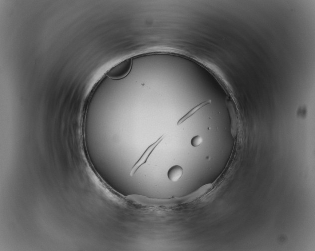 X0000115640910200911241708