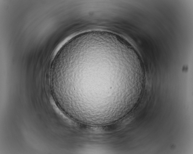 X0000115640911200911241708