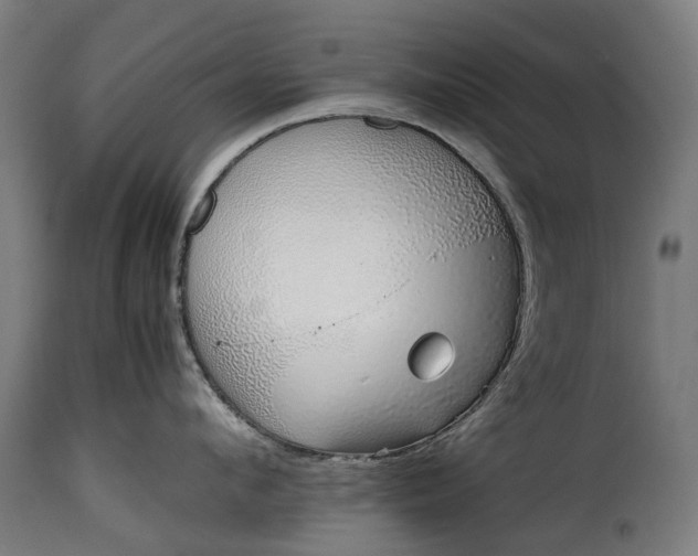 X0000115640912200911241708