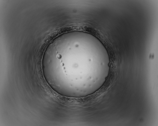 X0000115640913200911241707