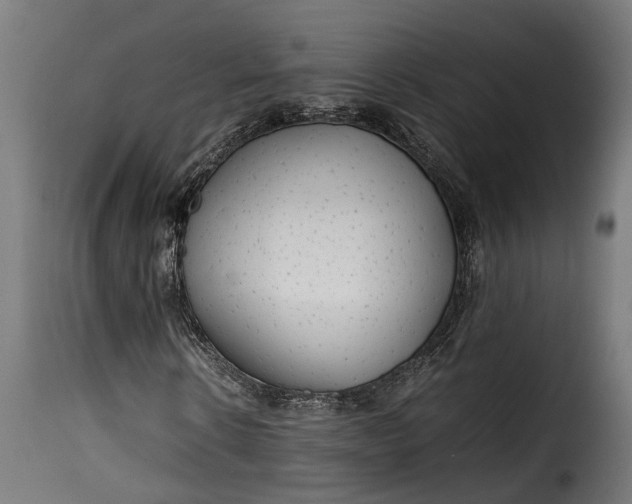 X0000115640914200911241707