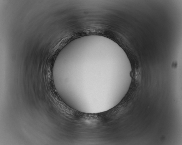 X0000115640915200911241707