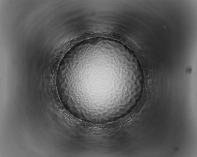 X0000115640917200911241707