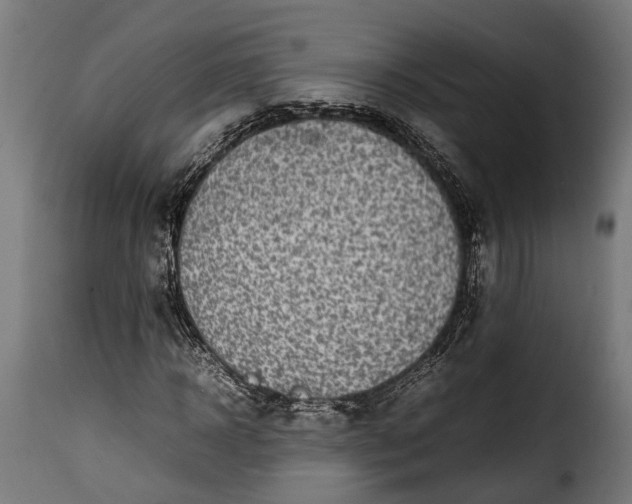 X0000115640918200911241707