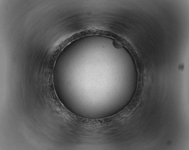 X0000115640919200911241707