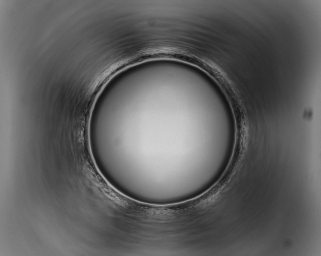 X0000115640921200911241707