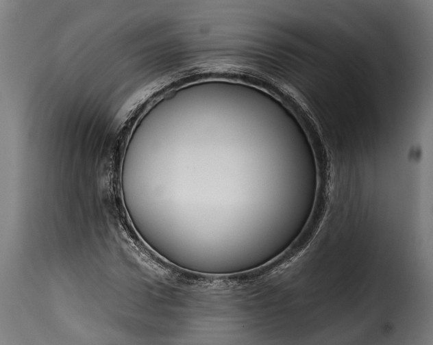 X0000115640922200911241707