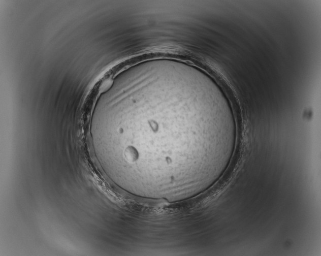 X0000115640923200911241707