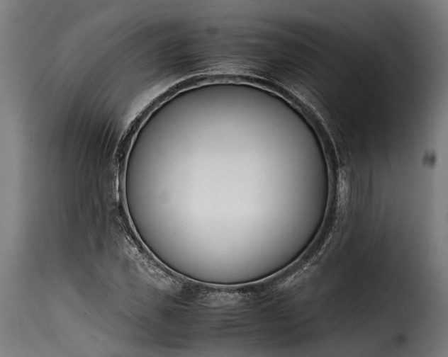 X0000115640925200911241707