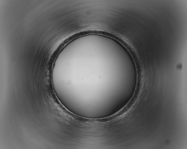 X0000115640926200911241707