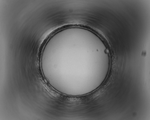 X0000115640927200911241707