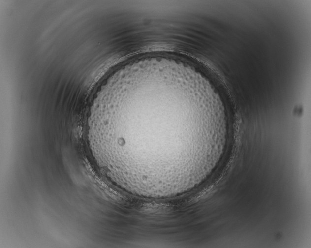 X0000115640929200911241707